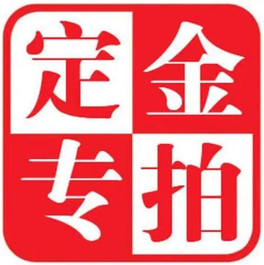 定金专拍链接 商品图0