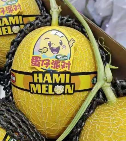 周日取货：【蛋仔派对黄金哈密瓜】一个3.5斤左右，甜蜜香甜，风味浓郁，果肉金黄！ 商品图1