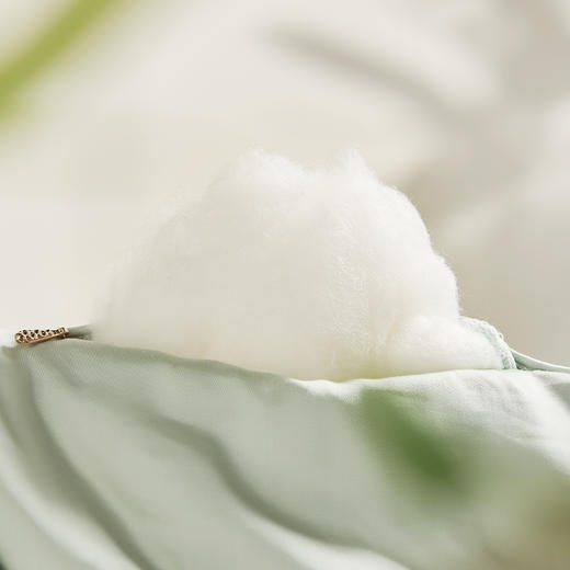 【多样屋专柜】多样屋被子东方茶净清香乌龙冬被-本白冬季保暖被/200*230cm（仅被子） 商品图6