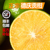 正宗德庆贡柑 酸甜可口 ，好吃不上火[顺丰包邮送到家] 商品缩略图1