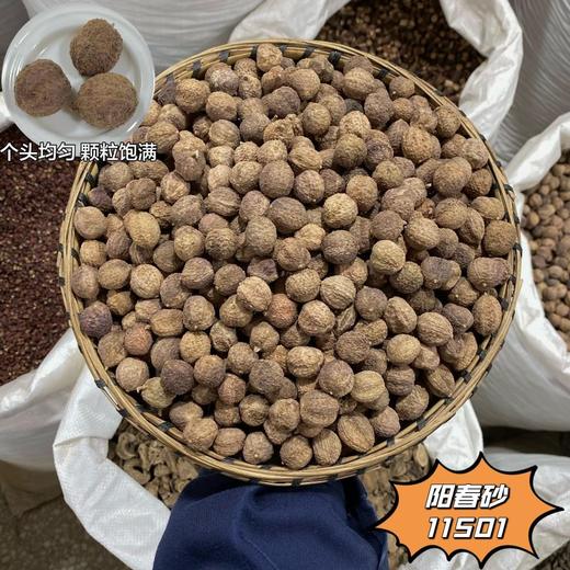 砂仁   阳春砂仁  净砂仁  菜砂仁   香砂仁 商品图1