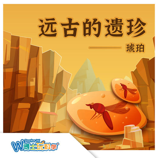 【北京】《远古遗珍—琥珀》 商品图0