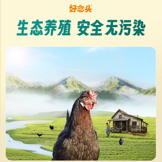好念头黑鸡谷物开产小蛋60枚装 健康早餐 新鲜营养土鸡蛋 商品图2