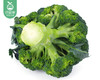 【叼鲜蔬】甘肃新鲜西兰花/1份（约500g） 商品缩略图1