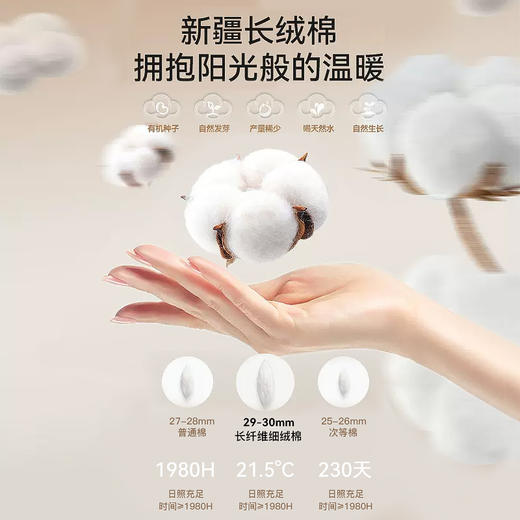 【拍2件立减20元】【60s新疆长绒棉打底衫+保暖裤】220g轻厚男士7A抗菌发热保暖棉衣 全棉抗起球耐磨 商品图1