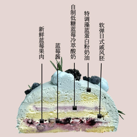 芬奇蓝莓 商品图1