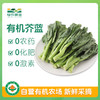 首单优惠！有机蔬悦套餐 商品缩略图3