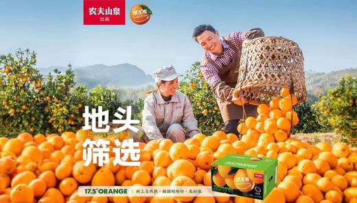 【会员21.5/4颗】农夫山泉17.5°赣南脐橙 48#大果 铂金果 商品图6