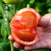【包邮】【流沙番茄和长黄瓜】组合4斤自然生长 不催熟 现摘现发 清脆爽口 商品缩略图10
