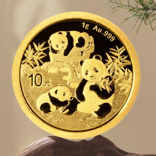 2025年熊猫金币！1克金币！ 商品图0