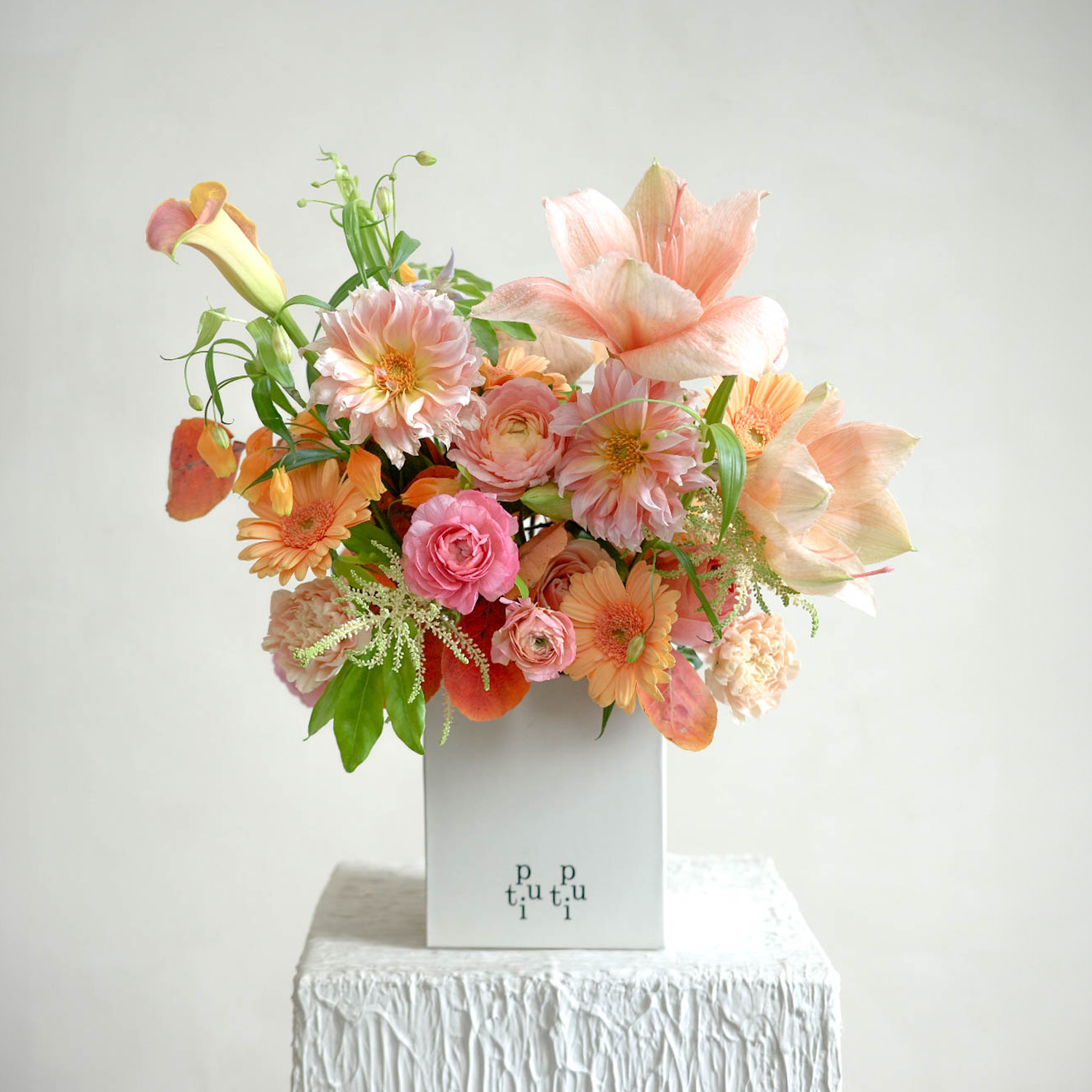 自由梦浸 Falling Into A Dream