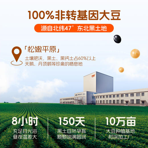 【￥89.9任选5件】早餐原味豆浆粉250g 营养早餐植物蛋白（任选不参与店铺满赠活动） 商品图3