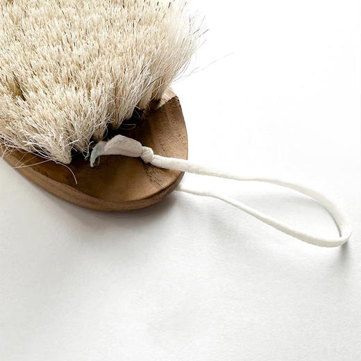 东黎 •拉毛刷ZP21-A001-F 商品图3