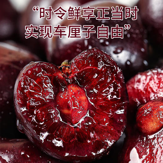 【分仓直发包邮】智利进口车厘子 商品图2