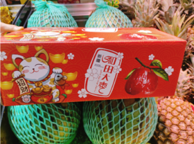 招财猫和田大枣一箱