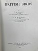 1930年 英国鸟类图集 202页彩色插图 漆布精装16开 商品缩略图2
