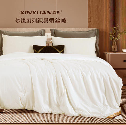 梦缘系列纯桑蚕丝被 AQPB 商品图0