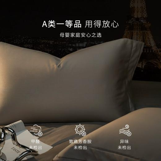 希尔顿酒店100支埃及棉四件套纯棉2024新款高档床品加大尺寸床单 商品图2