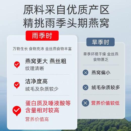 艾尚燕干燕窝印尼溯源大燕条系列 商品图1