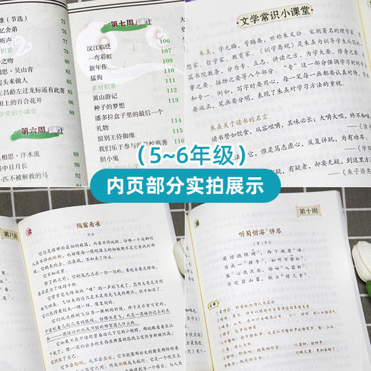 读者·青少年阅读丛书 读者·诵读 少年版（全3册）赠 音频  1-6年级分级阅读 商品图9