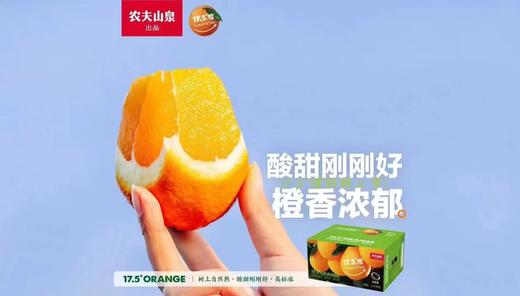 【会员21.5/4颗】农夫山泉17.5°赣南脐橙 48#大果 铂金果 商品图2