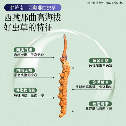 【雪域虫草 滋补圣品】梦岭南冬虫夏草16支礼盒装4g 西藏那曲珍稀原产 送长辈送父母 商品图6