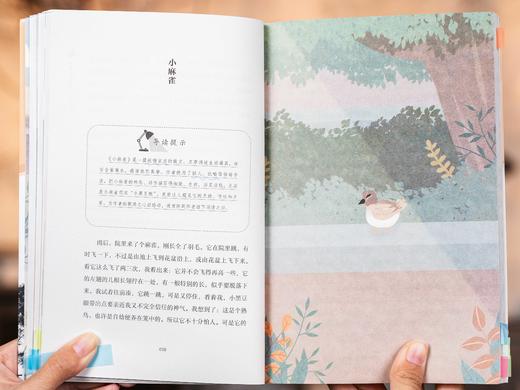 《中小学名家经典》2辑（全11册）| 百年名家经典、优中选优，语文新课标指定必读，专为孩子设计的百年名家文学课，近百幅传世名画穿插其中、精彩好读 商品图7
