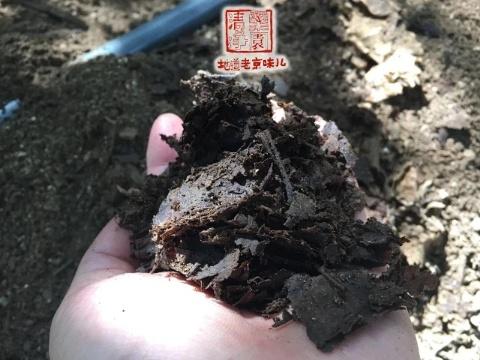 【清净栗园鲜板栗】10年生态种植｜无任何化肥和农药，自然成熟 商品图6