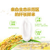 金龙鱼稻谷鲜生6步鲜金域鲜稻长粒香5kg 商品缩略图2