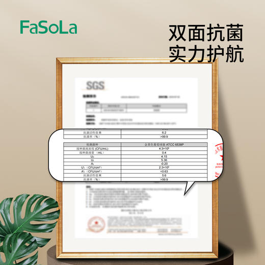 FaSoLa菜板抗菌防霉案板婴儿辅食家用厨房塑料双面切水果切菜砧板 商品图2
