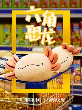 今天带六六逛超市👀