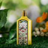 古驰 绮梦香草兰 Gucci Flora Gorgeous Orchid  分装 【把明媚的阳光穿在身上】 商品缩略图5