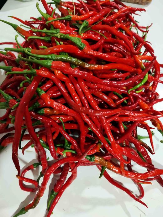 浏阳鸡肠子红辣椒，1斤 商品图6