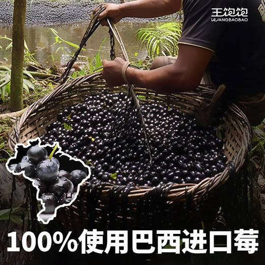王饱饱巴西莓粉35g 商品图2