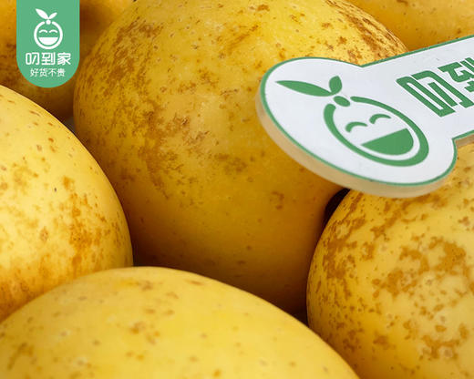 【预售-12月22日配送】山东黄金维纳斯小苹果（金斑锈果，65-70#）/1箱（12个，共1.5kg±100g） 商品图4