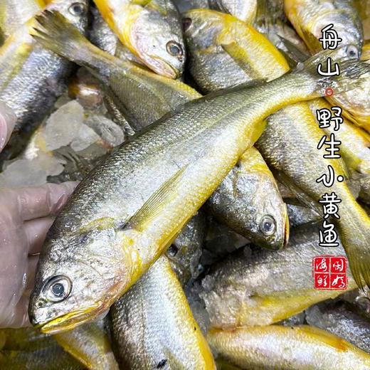 【闹妈海鲜】[液氮速冻]舟山小黄鱼 各种规格 商品图3