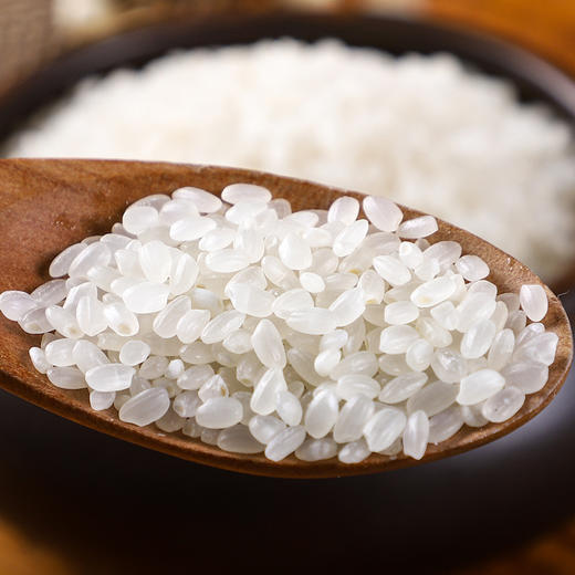 「39.9到手10斤！秋田小町」东北大米10斤黑龙江秋收新米 圆粒珍珠米秋田小町粮油米面 商品图2