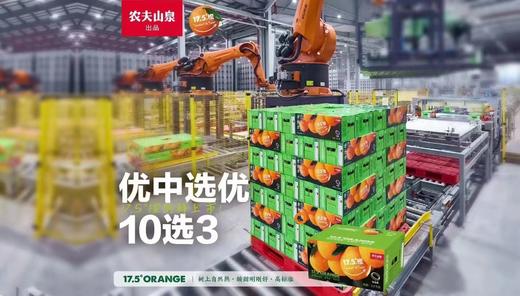 【会员21.5/4颗】农夫山泉17.5°赣南脐橙 48#大果 铂金果 商品图1