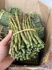 云南新鲜铁皮石斛鲜条 甄选5年以上的铁皮石斛  滋阴清热 煲汤泡水 500g 商品缩略图4