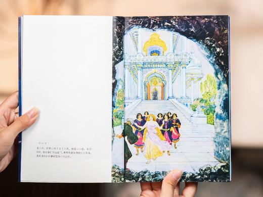 《一千零一夜》礼盒珍藏版（全10册）经典译本，风靡全球20多年  看一百遍都不腻的“百科大书” 商品图7