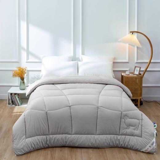 【远梦】新西兰羊毛恒温冬厚被 商品图2