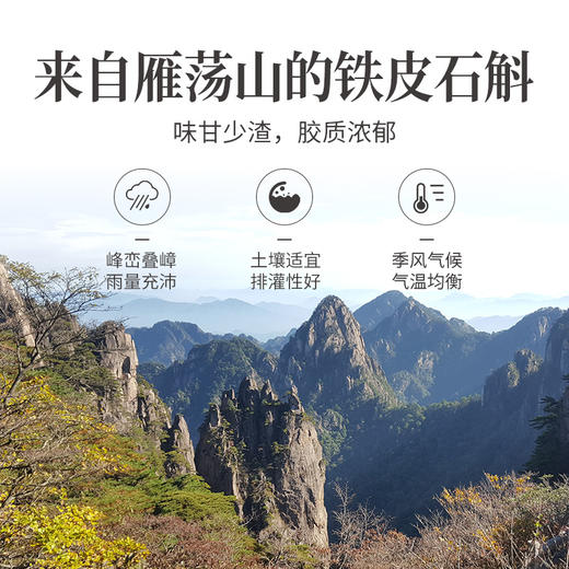 方家铺子 铁皮石斛100g/瓶装 商品图7