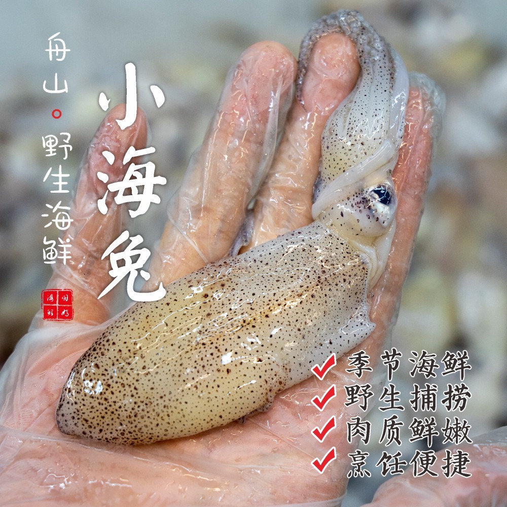 【闹妈海鲜】热气东海舟山野生小海兔，一斤一盒40只左右