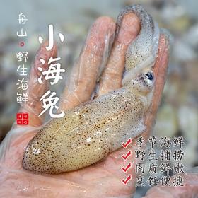 【闹妈海鲜】鲜冻东海舟山野生小海兔，一斤一盒50只左右