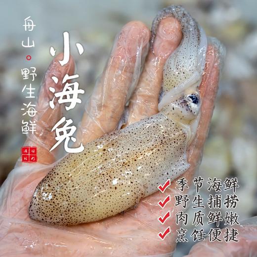 【闹妈海鲜】鲜冻东海舟山野生小海兔，一斤一盒50只左右 商品图0
