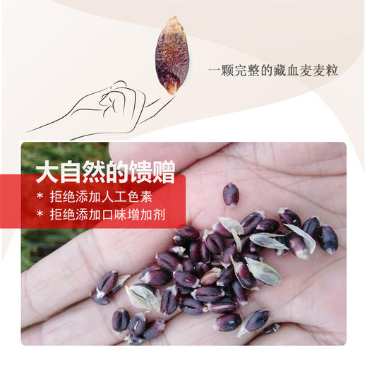 【有机藏血麦片丨有机燕麦片】粗粮冲泡营养早餐丨营养价值高丨无蔗糖丨无添加！ 商品图2
