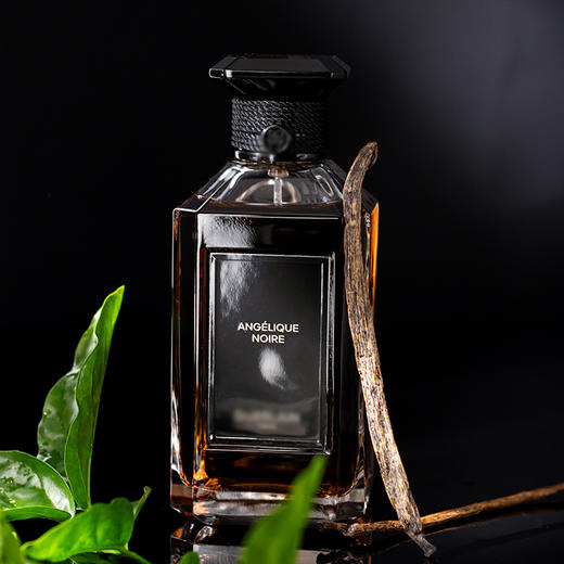 【艺术沙龙系列】白芷香  Angélique Noire 分装 商品图1