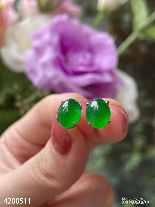 老坑玻璃种帝王绿蛋面耳钉【4200511】具体价格微信咨询 商品图5