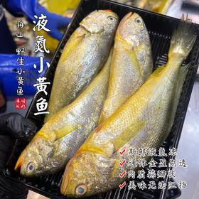 【闹妈海鲜】[液氮速冻]舟山小黄鱼 各种规格