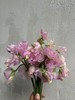 日本进口花材香豌豆10支 商品缩略图7